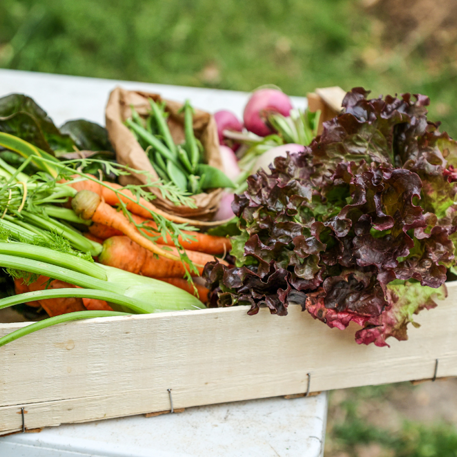 Fresh Affordable Produce